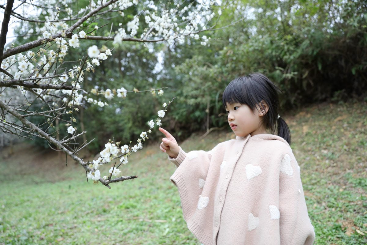 2025桃園走春一日遊推薦! 壽山巖觀音寺 新年祈福拜拜領福袋.點燈安太歲.補春運保平安.賞櫻花,再到長庚養生文化村賞梅花野餐 - 第36張圖 2025桃園走春一日遊推薦! 壽山巖觀音寺 新年祈福拜拜領福袋.點燈安太歲.補春運保平安.賞櫻花,再到長庚養生文化村賞梅花野餐