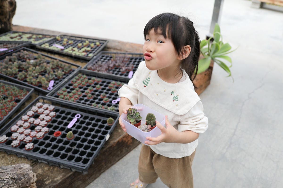 2025最新南投親子景點推薦! 鹿芝谷生態景觀園區 Trip.com便宜購票秘訣分享