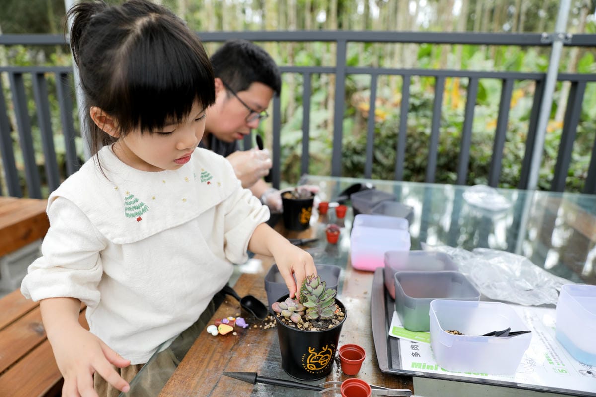 2025最新南投親子景點推薦! 鹿芝谷生態景觀園區 Trip.com便宜購票秘訣分享