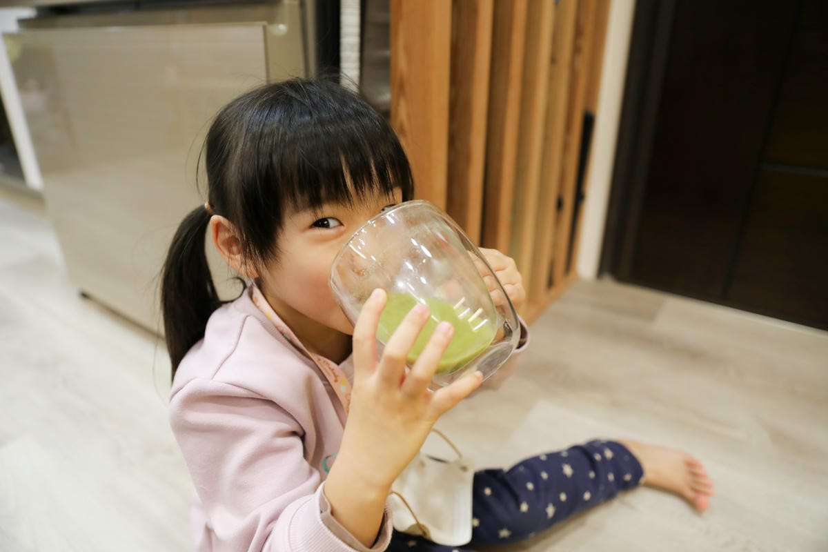 Casa卡薩 高纖濃醇豆奶 全聯豆奶即沖飲品推薦! 富含膳食纖維與植物性蛋白質