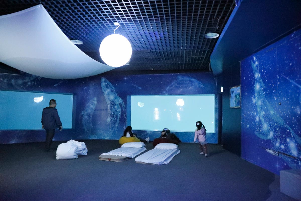 花蓮遠雄海洋公園親親海洋夜未眠 近距離與海豚海獅親近,夜探水族館,與魚共眠超好玩親子行程推薦!