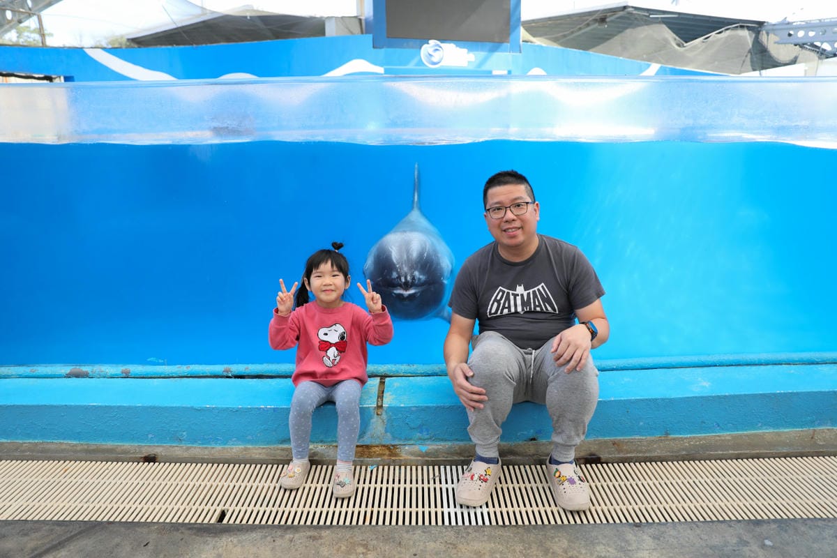 花蓮遠雄海洋公園親親海洋夜未眠 近距離與海豚海獅親近,夜探水族館,與魚共眠超好玩親子行程推薦!
