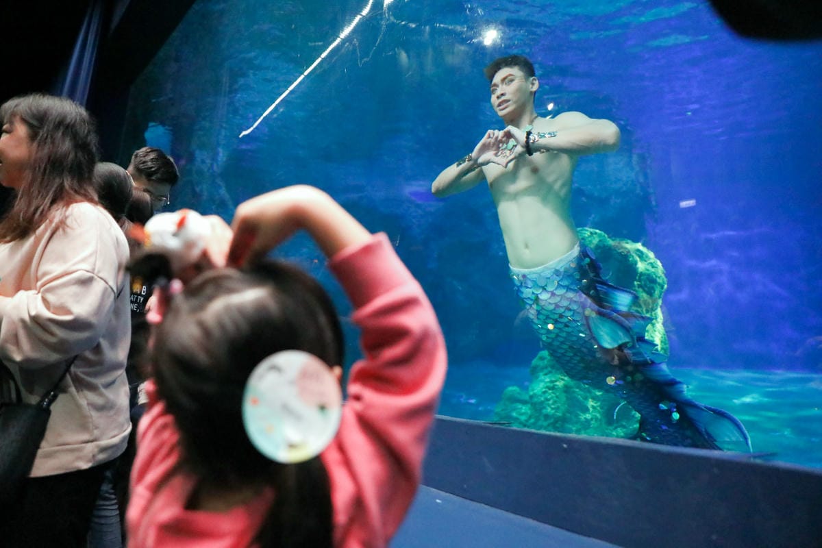 花蓮遠雄海洋公園親親海洋夜未眠 近距離與海豚海獅親近,夜探水族館,與魚共眠超好玩親子行程推薦!