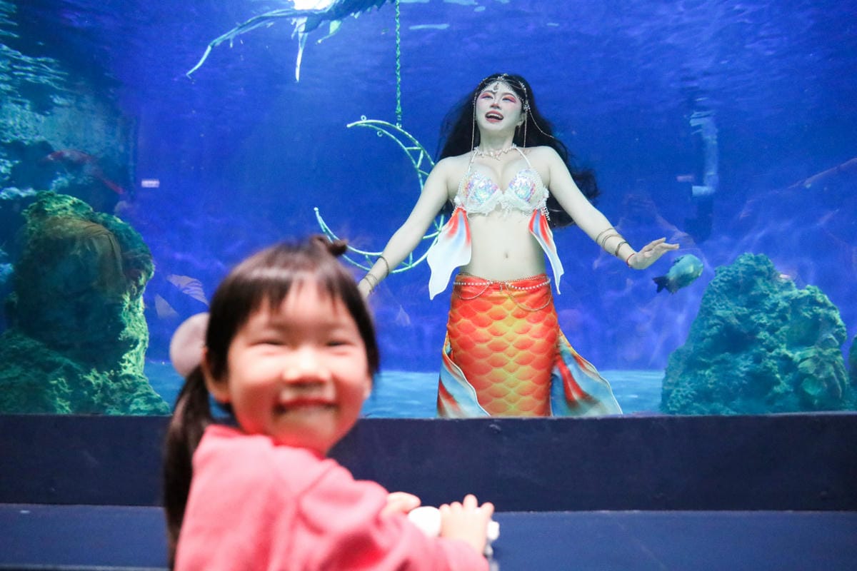 花蓮遠雄海洋公園親親海洋夜未眠 近距離與海豚海獅親近,夜探水族館,與魚共眠超好玩親子行程推薦!
