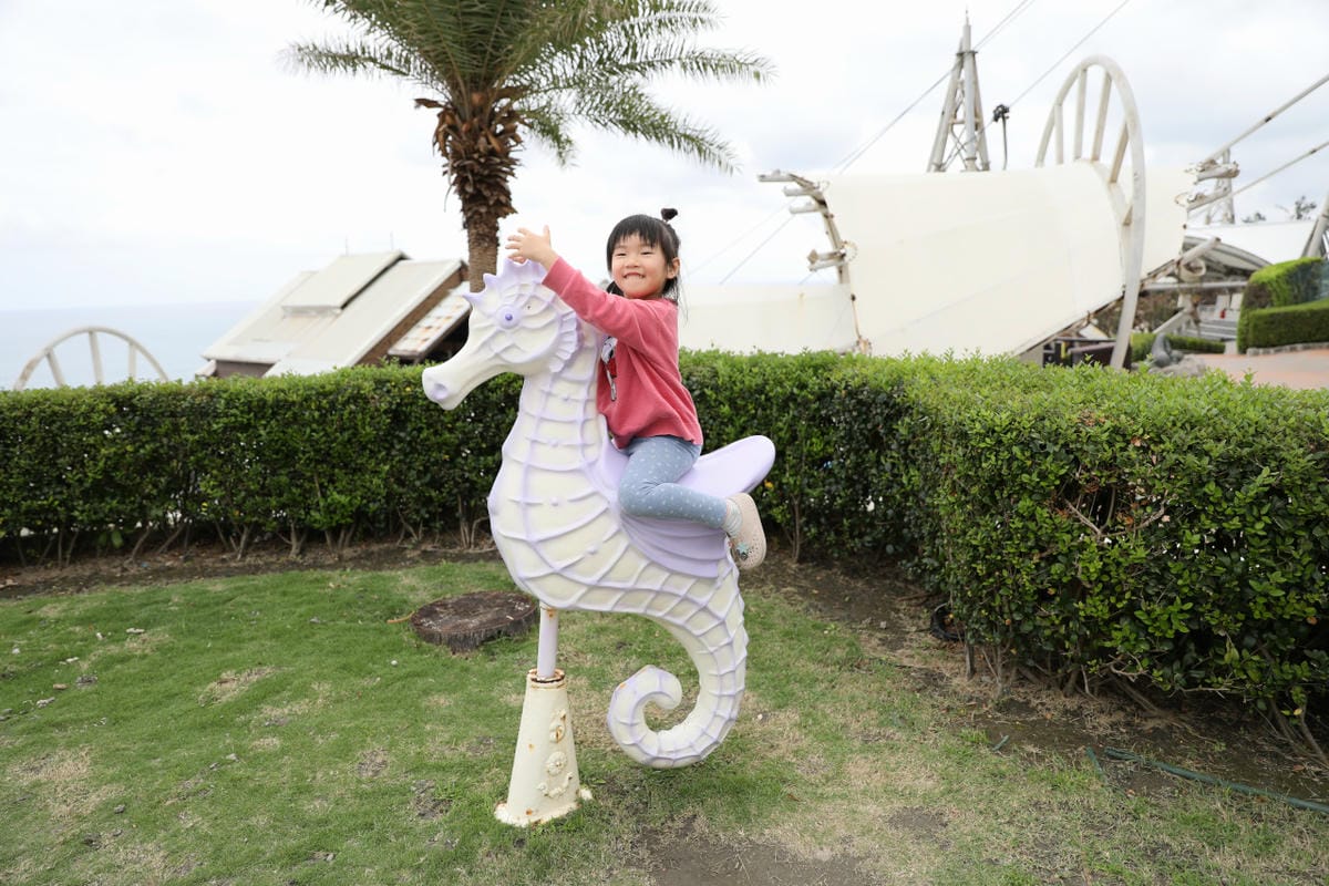 花蓮遠雄海洋公園親親海洋夜未眠 近距離與海豚海獅親近,夜探水族館,與魚共眠超好玩親子行程推薦!