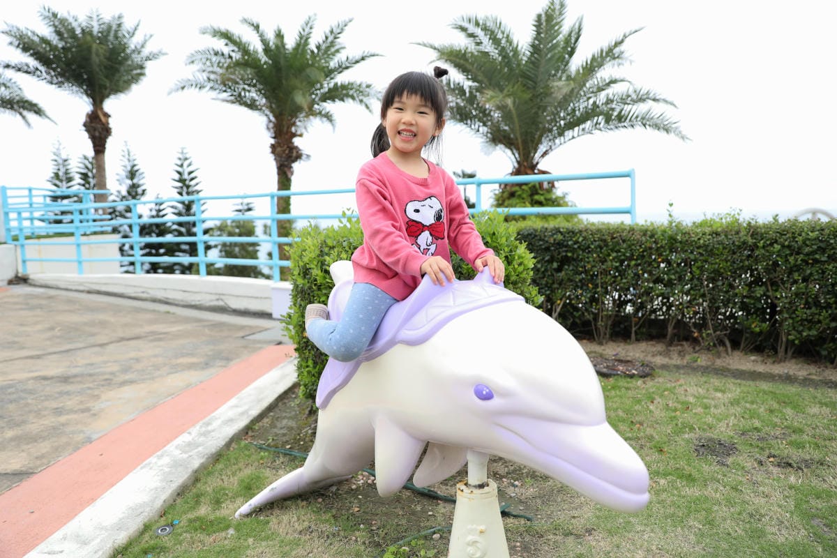 花蓮遠雄海洋公園親親海洋夜未眠 近距離與海豚海獅親近,夜探水族館,與魚共眠超好玩親子行程推薦!