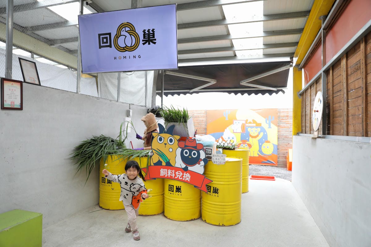 宜蘭親子景點推薦! 回巢 Homing 荒野沙漠農場園區 來礁溪體驗動物餵食互動(宜蘭雨備景點) - 第4張圖 宜蘭親子景點推薦! 回巢 Homing 荒野沙漠農場園區 來礁溪體驗動物餵食互動(宜蘭雨備景點)