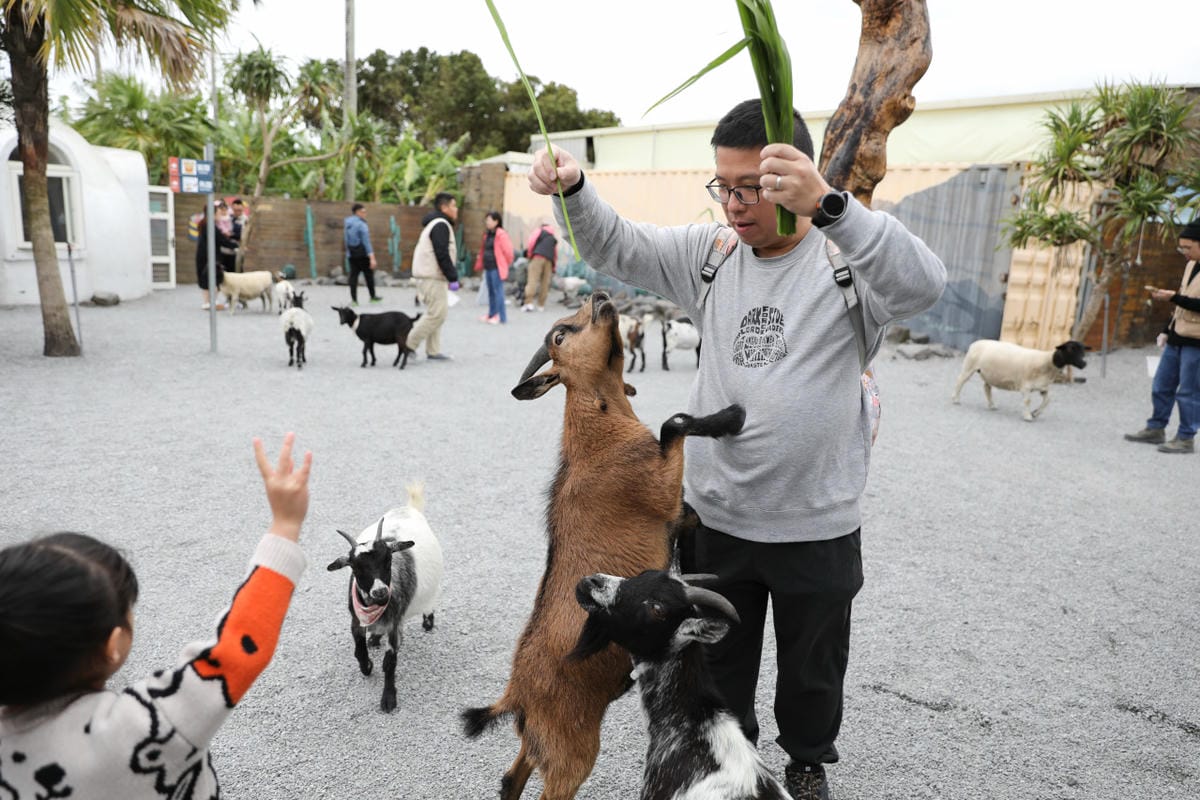 宜蘭親子景點推薦! 回巢 Homing 荒野沙漠農場園區 來礁溪體驗動物餵食互動(宜蘭雨備景點) - 第7張圖 宜蘭親子景點推薦! 回巢 Homing 荒野沙漠農場園區 來礁溪體驗動物餵食互動(宜蘭雨備景點)