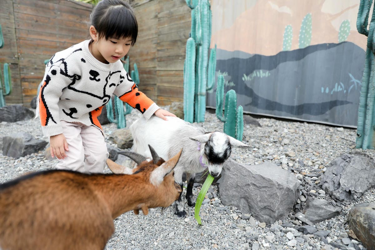 宜蘭親子景點推薦! 回巢 Homing 荒野沙漠農場園區 來礁溪體驗動物餵食互動(宜蘭雨備景點) - 第9張圖 宜蘭親子景點推薦! 回巢 Homing 荒野沙漠農場園區 來礁溪體驗動物餵食互動(宜蘭雨備景點)