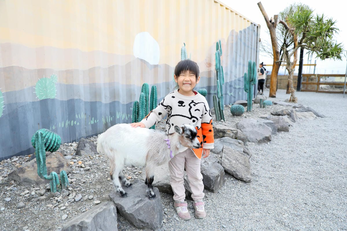 宜蘭親子景點推薦! 回巢 Homing 荒野沙漠農場園區 來礁溪體驗動物餵食互動(宜蘭雨備景點) - 第8張圖 宜蘭親子景點推薦! 回巢 Homing 荒野沙漠農場園區 來礁溪體驗動物餵食互動(宜蘭雨備景點)