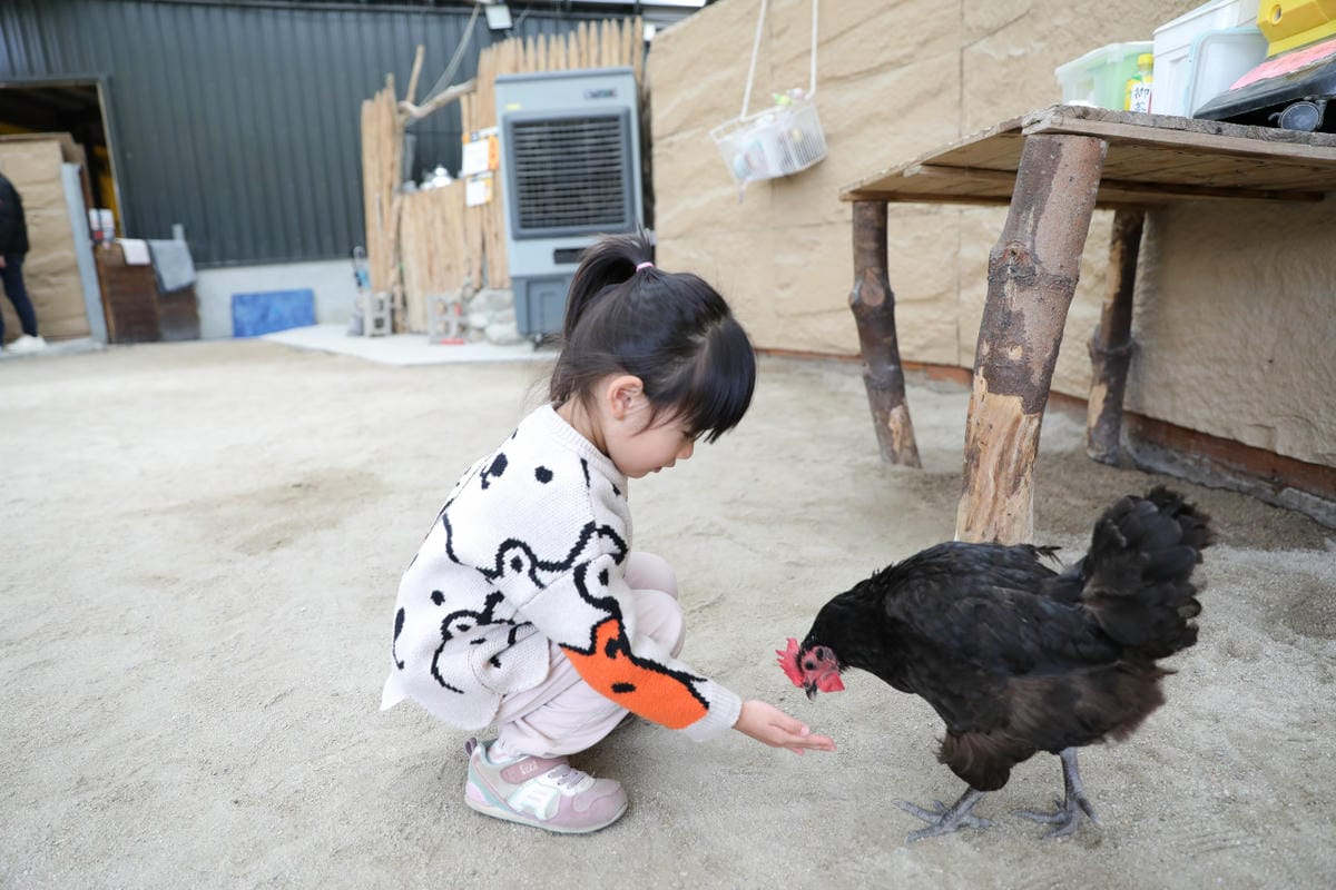 宜蘭親子景點推薦! 回巢 Homing 荒野沙漠農場園區 來礁溪體驗動物餵食互動(宜蘭雨備景點) - 第17張圖 宜蘭親子景點推薦! 回巢 Homing 荒野沙漠農場園區 來礁溪體驗動物餵食互動(宜蘭雨備景點)