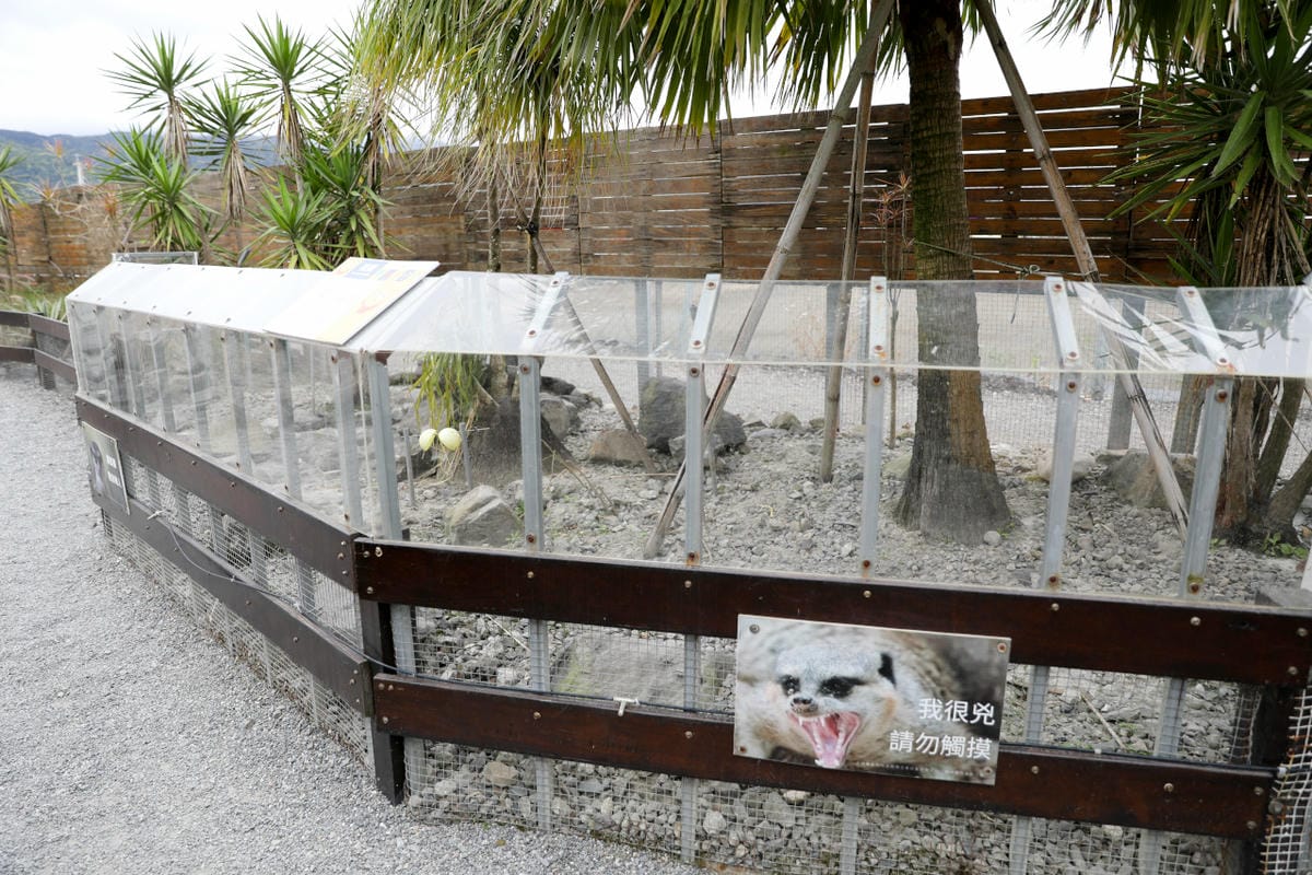 宜蘭親子景點推薦! 回巢 Homing 荒野沙漠農場園區 來礁溪體驗動物餵食互動(宜蘭雨備景點) - 第21張圖 宜蘭親子景點推薦! 回巢 Homing 荒野沙漠農場園區 來礁溪體驗動物餵食互動(宜蘭雨備景點)