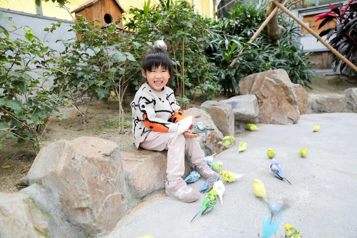 宜蘭親子景點推薦! 回巢 Homing 荒野沙漠農場園區 來礁溪體驗動物餵食互動(宜蘭雨備景點) - 第2張圖 宜蘭親子景點推薦! 回巢 Homing 荒野沙漠農場園區 來礁溪體驗動物餵食互動(宜蘭雨備景點)