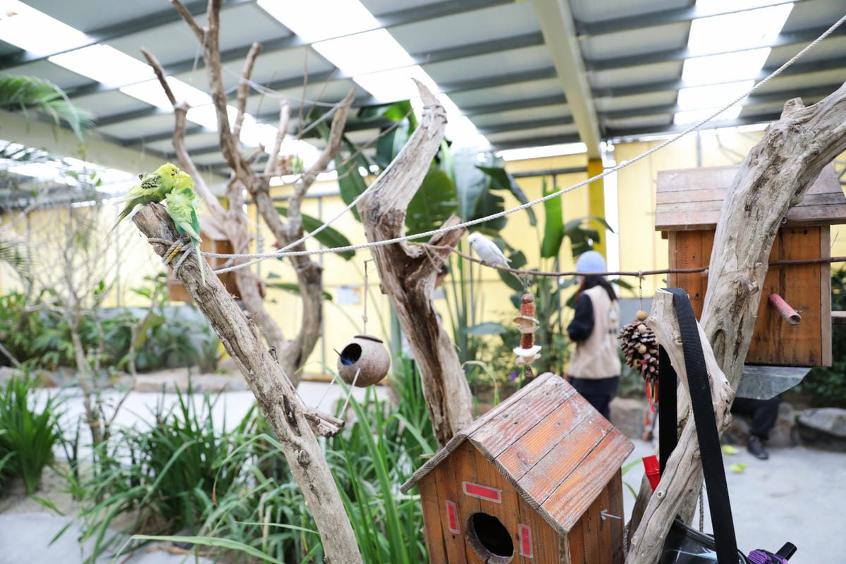 宜蘭親子景點推薦! 回巢 Homing 荒野沙漠農場園區 來礁溪體驗動物餵食互動(宜蘭雨備景點) - 第26張圖 宜蘭親子景點推薦! 回巢 Homing 荒野沙漠農場園區 來礁溪體驗動物餵食互動(宜蘭雨備景點)