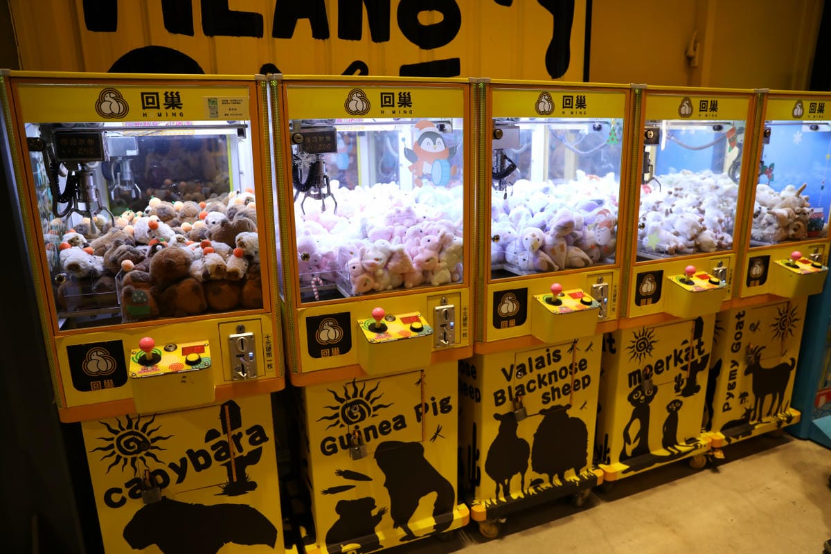 宜蘭親子景點推薦! 回巢 Homing 荒野沙漠農場園區 來礁溪體驗動物餵食互動(宜蘭雨備景點) - 第31張圖 宜蘭親子景點推薦! 回巢 Homing 荒野沙漠農場園區 來礁溪體驗動物餵食互動(宜蘭雨備景點)