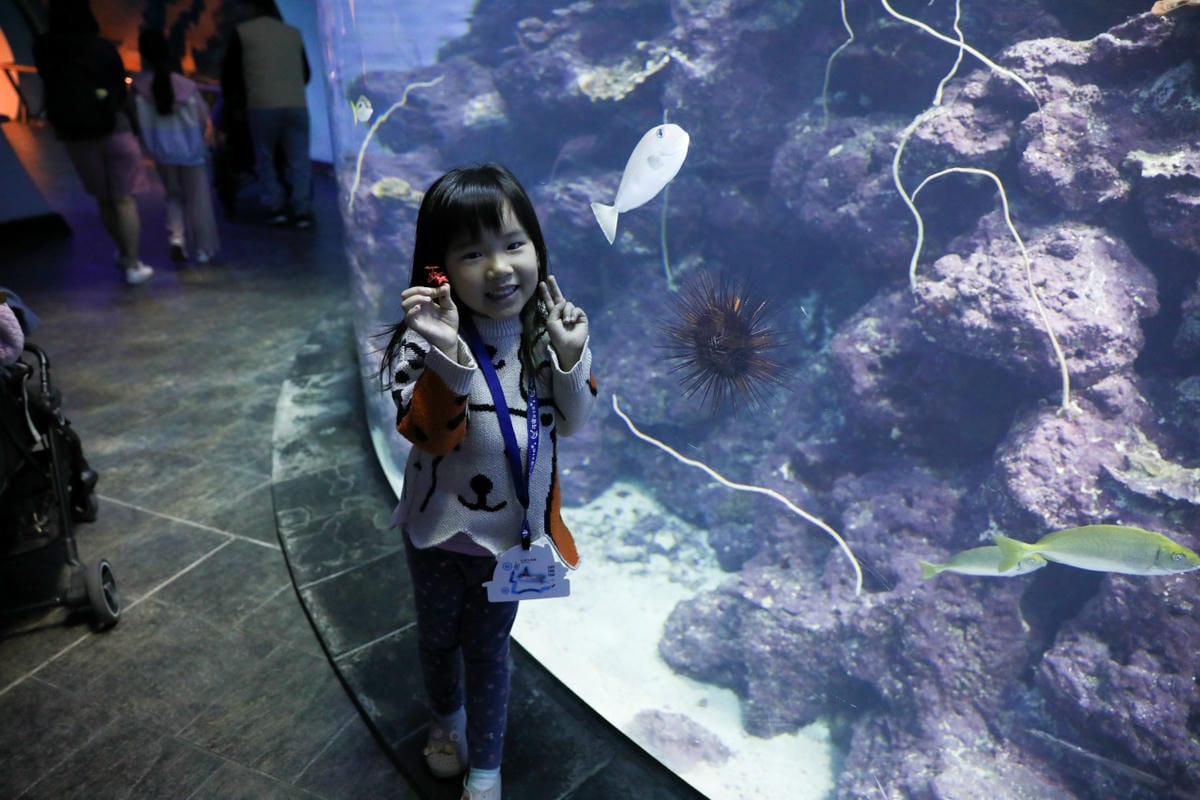 屏東親子旅遊推薦! 夜宿海生館 與魚兒共眠 住宿屏東海生館,後場飼育體驗+夜間探索+潮間帶生態觀察 - 第5張圖 屏東親子旅遊推薦! 夜宿海生館 與魚兒共眠 住宿屏東海生館,後場飼育體驗+夜間探索+潮間帶生態觀察