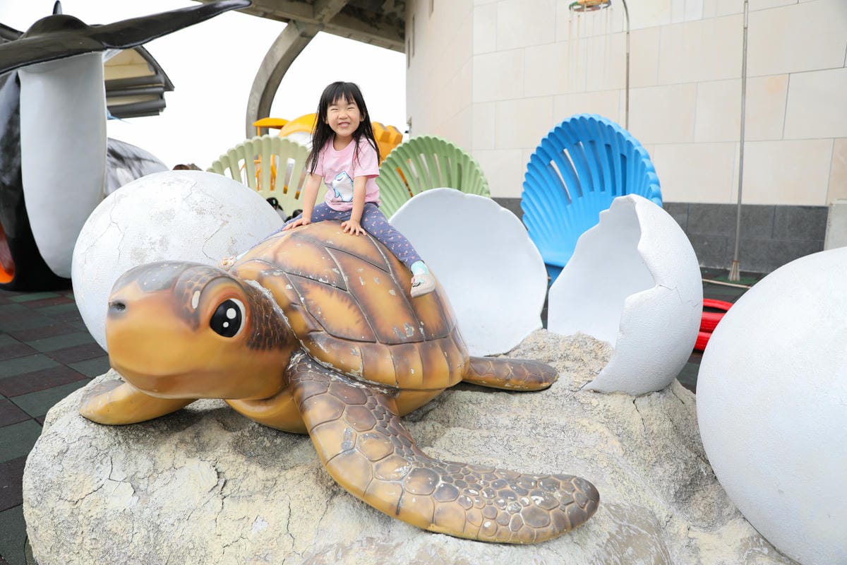屏東親子旅遊推薦! 夜宿海生館 與魚兒共眠 住宿屏東海生館,後場飼育體驗+夜間探索+潮間帶生態觀察 - 第11張圖 屏東親子旅遊推薦! 夜宿海生館 與魚兒共眠 住宿屏東海生館,後場飼育體驗+夜間探索+潮間帶生態觀察