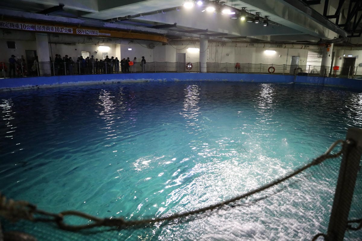 屏東親子旅遊推薦! 夜宿海生館 與魚兒共眠 住宿屏東海生館,後場飼育體驗+夜間探索+潮間帶生態觀察 - 第26張圖 屏東親子旅遊推薦! 夜宿海生館 與魚兒共眠 住宿屏東海生館,後場飼育體驗+夜間探索+潮間帶生態觀察