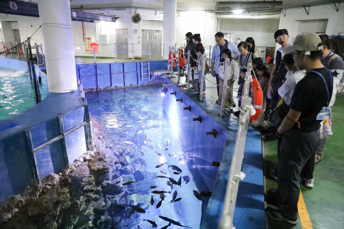 屏東親子旅遊推薦! 夜宿海生館 與魚兒共眠 住宿屏東海生館,後場飼育體驗+夜間探索+潮間帶生態觀察 - 第28張圖 屏東親子旅遊推薦! 夜宿海生館 與魚兒共眠 住宿屏東海生館,後場飼育體驗+夜間探索+潮間帶生態觀察