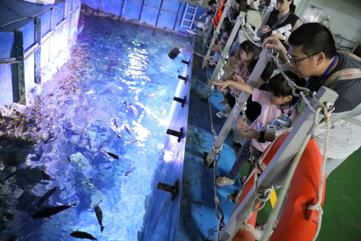 屏東親子旅遊推薦! 夜宿海生館 與魚兒共眠 住宿屏東海生館,後場飼育體驗+夜間探索+潮間帶生態觀察 - 第27張圖 屏東親子旅遊推薦! 夜宿海生館 與魚兒共眠 住宿屏東海生館,後場飼育體驗+夜間探索+潮間帶生態觀察