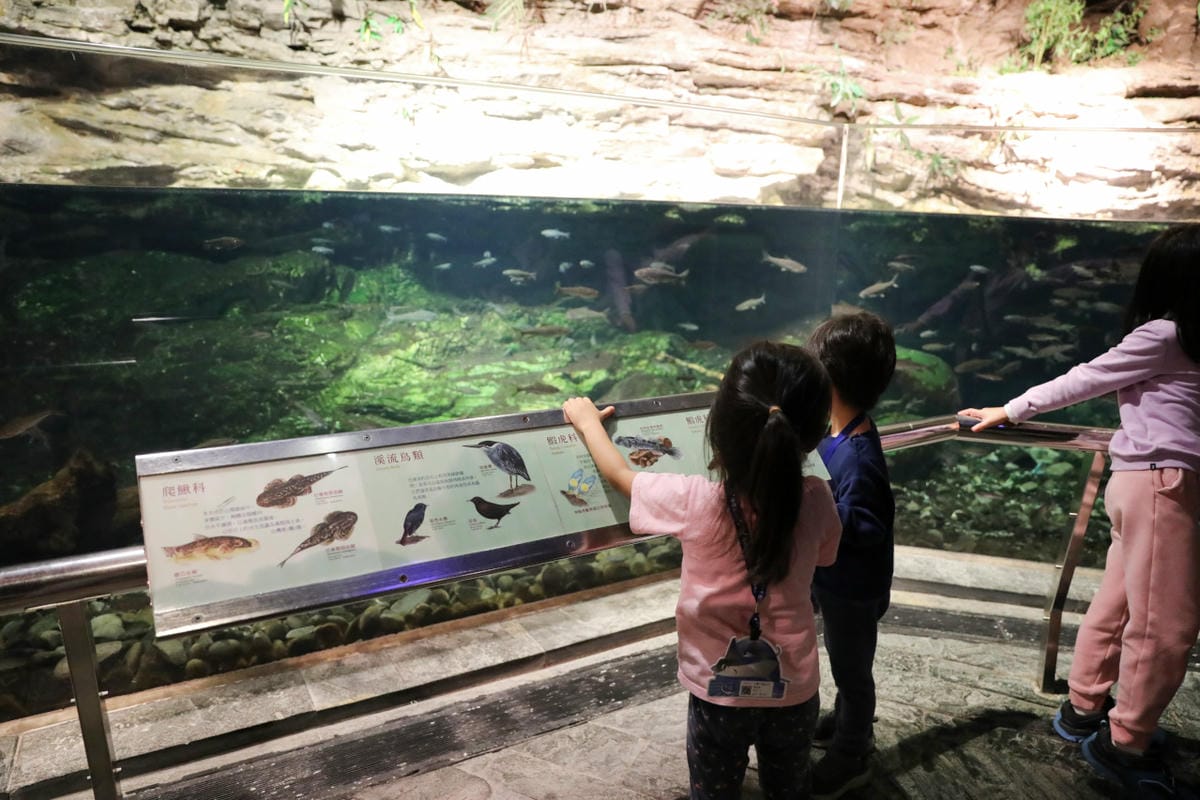 屏東親子旅遊推薦! 夜宿海生館 與魚兒共眠 住宿屏東海生館,後場飼育體驗+夜間探索+潮間帶生態觀察 - 第38張圖 屏東親子旅遊推薦! 夜宿海生館 與魚兒共眠 住宿屏東海生館,後場飼育體驗+夜間探索+潮間帶生態觀察
