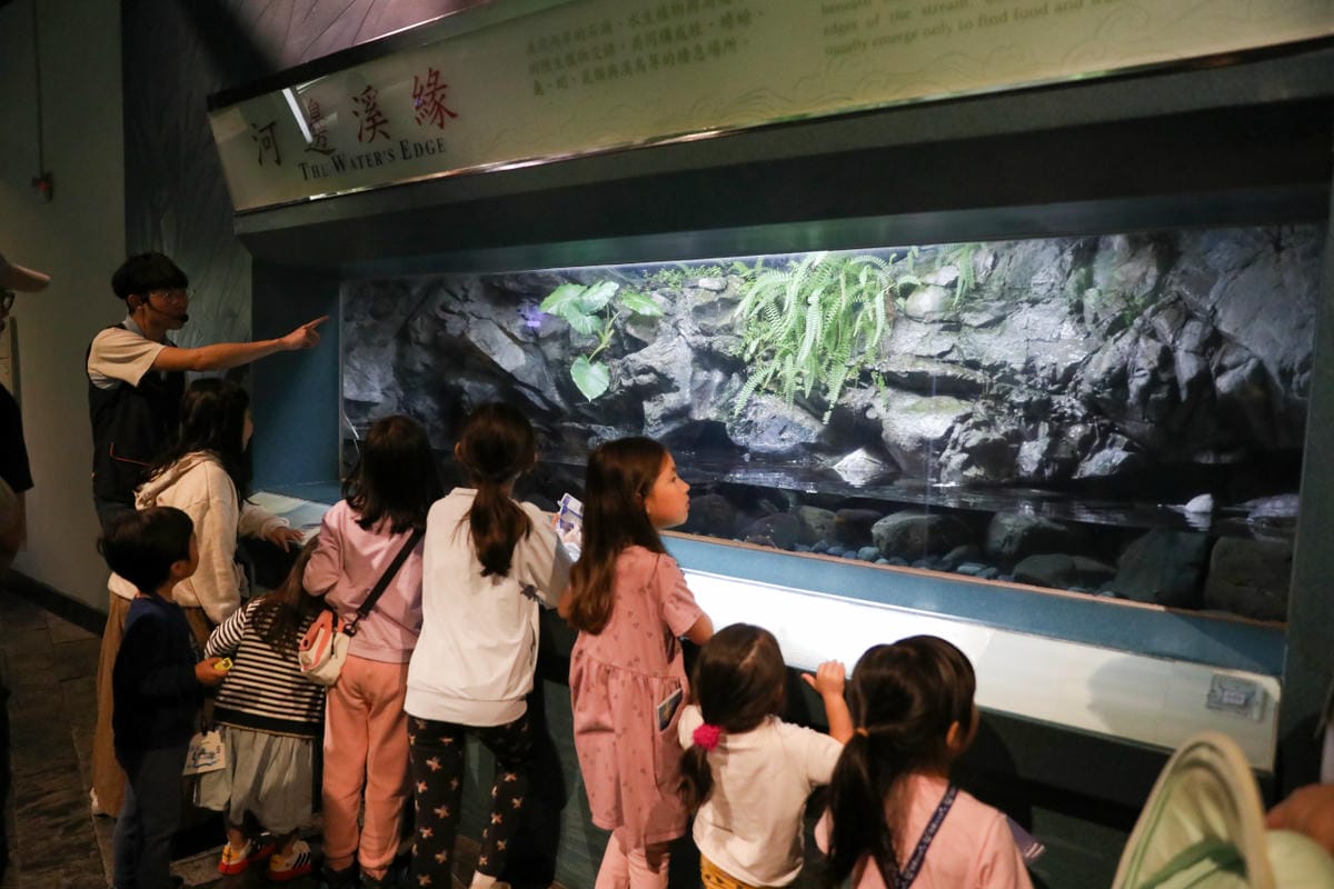 屏東親子旅遊推薦! 夜宿海生館 與魚兒共眠 住宿屏東海生館,後場飼育體驗+夜間探索+潮間帶生態觀察 - 第37張圖 屏東親子旅遊推薦! 夜宿海生館 與魚兒共眠 住宿屏東海生館,後場飼育體驗+夜間探索+潮間帶生態觀察
