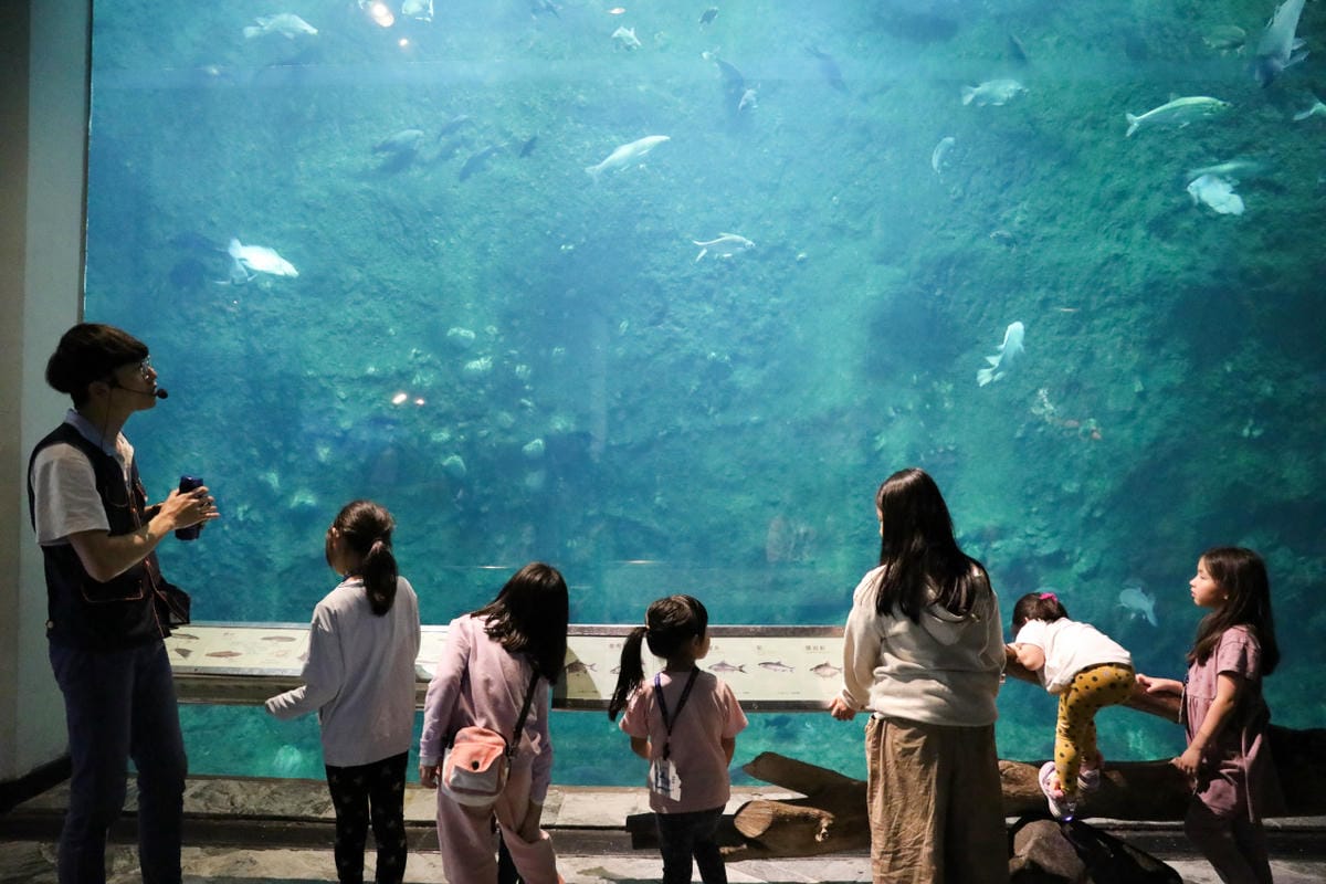 屏東親子旅遊推薦! 夜宿海生館 與魚兒共眠 住宿屏東海生館,後場飼育體驗+夜間探索+潮間帶生態觀察 - 第39張圖 屏東親子旅遊推薦! 夜宿海生館 與魚兒共眠 住宿屏東海生館,後場飼育體驗+夜間探索+潮間帶生態觀察
