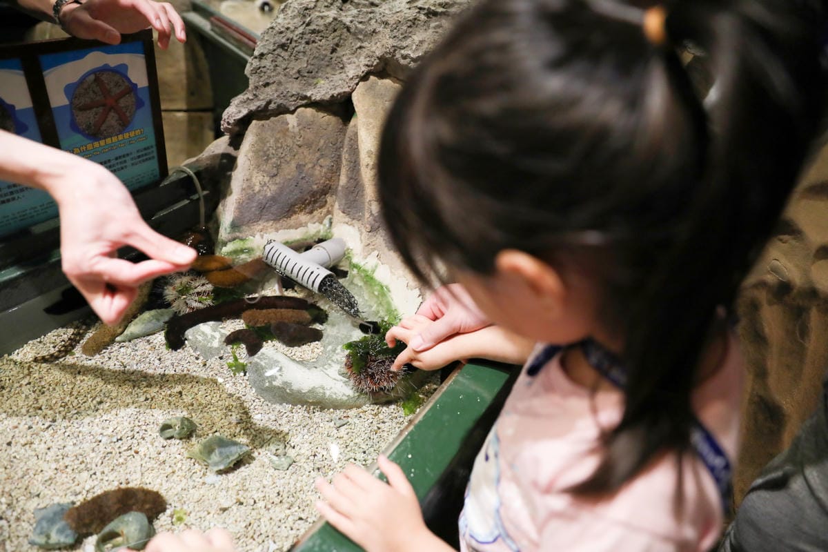 屏東親子旅遊推薦! 夜宿海生館 與魚兒共眠 住宿屏東海生館,後場飼育體驗+夜間探索+潮間帶生態觀察 - 第33張圖 屏東親子旅遊推薦! 夜宿海生館 與魚兒共眠 住宿屏東海生館,後場飼育體驗+夜間探索+潮間帶生態觀察