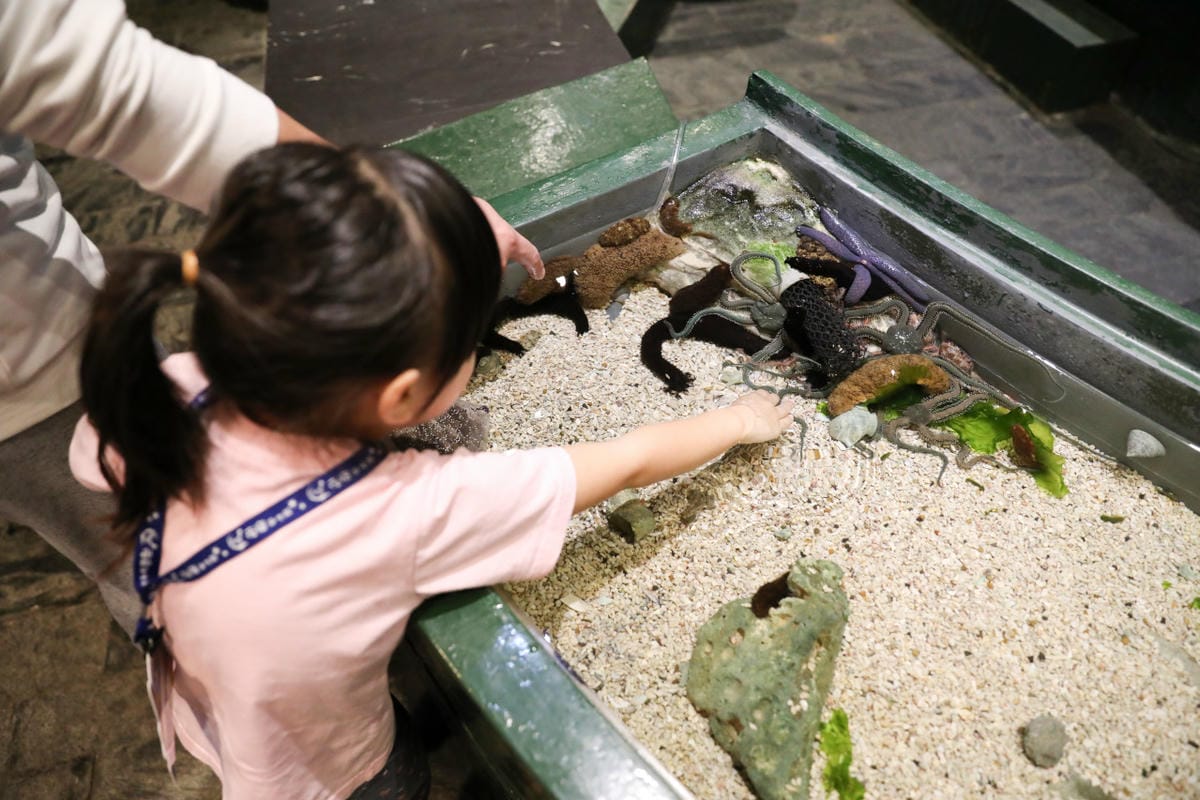 屏東親子旅遊推薦! 夜宿海生館 與魚兒共眠 住宿屏東海生館,後場飼育體驗+夜間探索+潮間帶生態觀察 - 第36張圖 屏東親子旅遊推薦! 夜宿海生館 與魚兒共眠 住宿屏東海生館,後場飼育體驗+夜間探索+潮間帶生態觀察