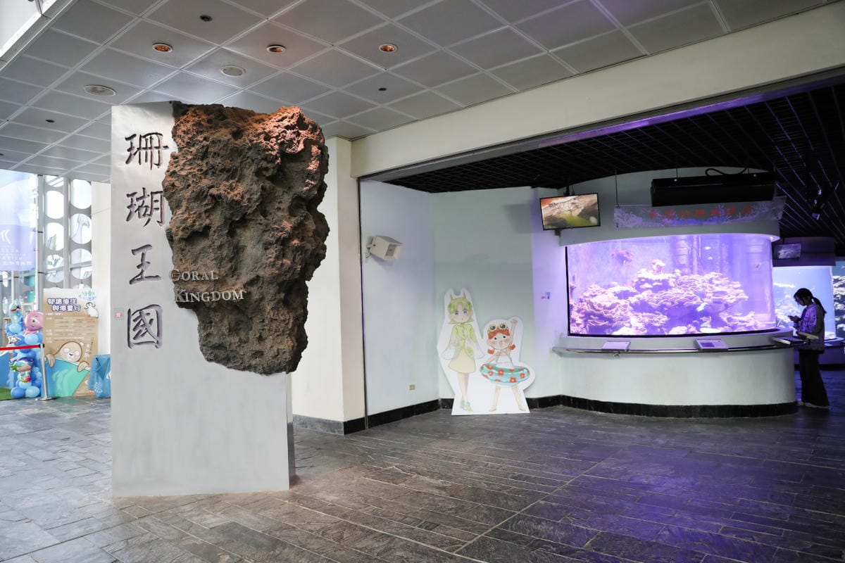 屏東親子旅遊推薦! 夜宿海生館 與魚兒共眠 住宿屏東海生館,後場飼育體驗+夜間探索+潮間帶生態觀察 - 第54張圖 屏東親子旅遊推薦! 夜宿海生館 與魚兒共眠 住宿屏東海生館,後場飼育體驗+夜間探索+潮間帶生態觀察