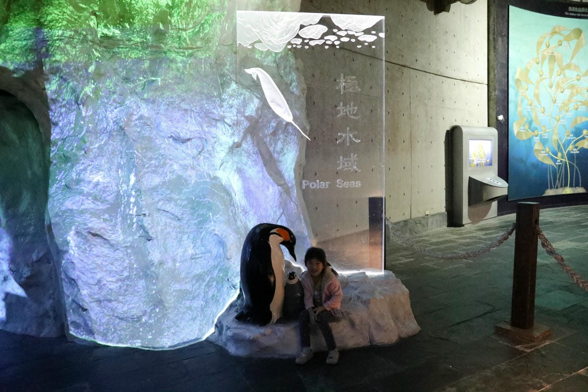 屏東親子旅遊推薦! 夜宿海生館 與魚兒共眠 住宿屏東海生館,後場飼育體驗+夜間探索+潮間帶生態觀察 - 第70張圖 屏東親子旅遊推薦! 夜宿海生館 與魚兒共眠 住宿屏東海生館,後場飼育體驗+夜間探索+潮間帶生態觀察