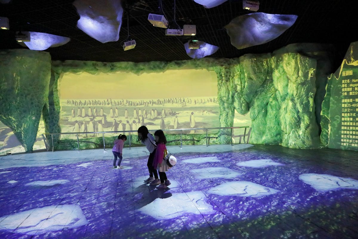 屏東親子旅遊推薦! 夜宿海生館 與魚兒共眠 住宿屏東海生館,後場飼育體驗+夜間探索+潮間帶生態觀察 - 第71張圖 屏東親子旅遊推薦! 夜宿海生館 與魚兒共眠 住宿屏東海生館,後場飼育體驗+夜間探索+潮間帶生態觀察