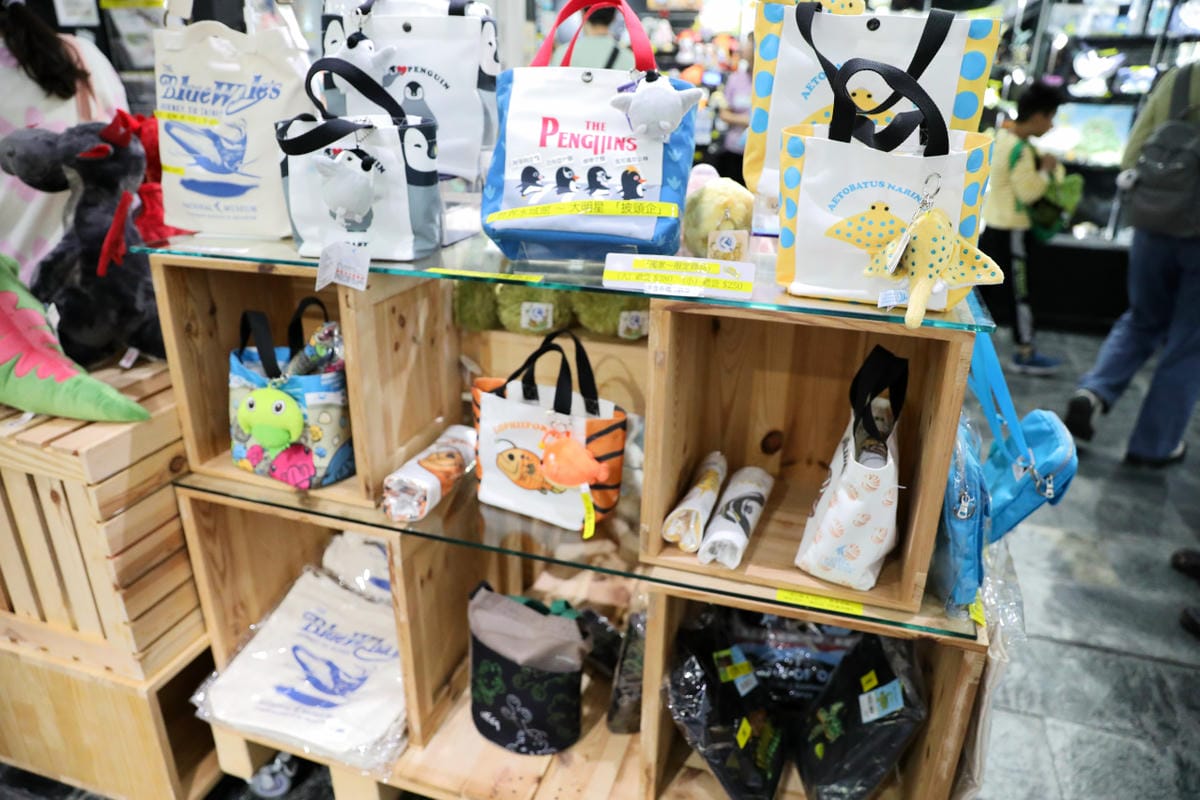 屏東親子旅遊推薦! 夜宿海生館 與魚兒共眠 住宿屏東海生館,後場飼育體驗+夜間探索+潮間帶生態觀察 - 第74張圖 屏東親子旅遊推薦! 夜宿海生館 與魚兒共眠 住宿屏東海生館,後場飼育體驗+夜間探索+潮間帶生態觀察