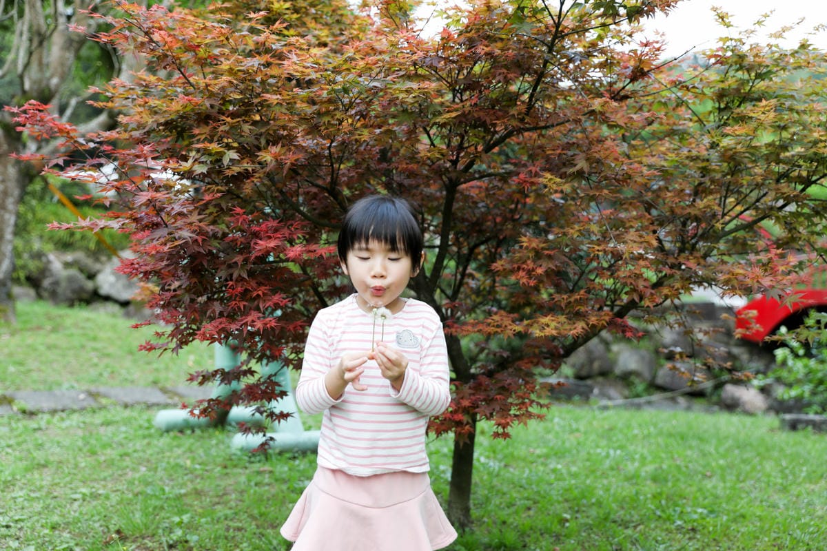 蟬說：暖硫 陽明山溫泉露營推薦! 台北懶人露營一泊二食+圍爐煮茶,帳篷內獨立衛浴