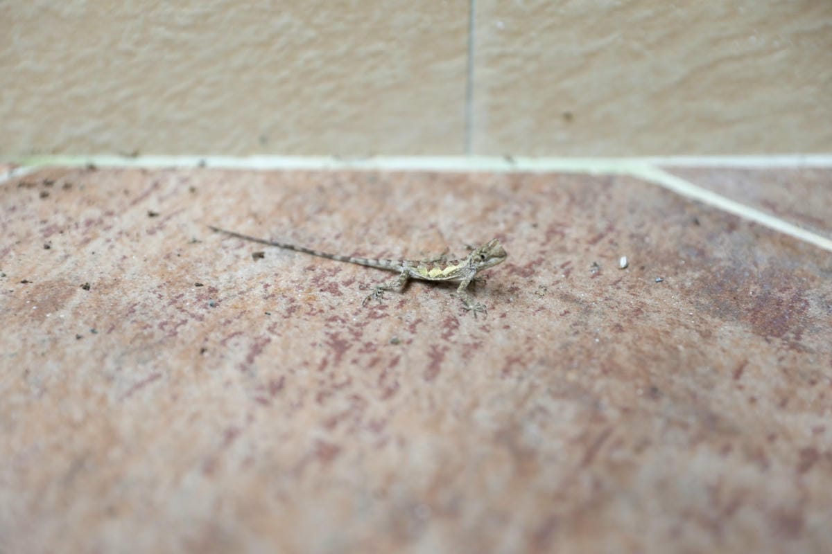 新竹內灣尖石新月塢溫泉會館 享受兩小時湯屋泡湯樂 - 第17張圖 新竹內灣尖石新月塢溫泉會館 享受兩小時湯屋泡湯樂