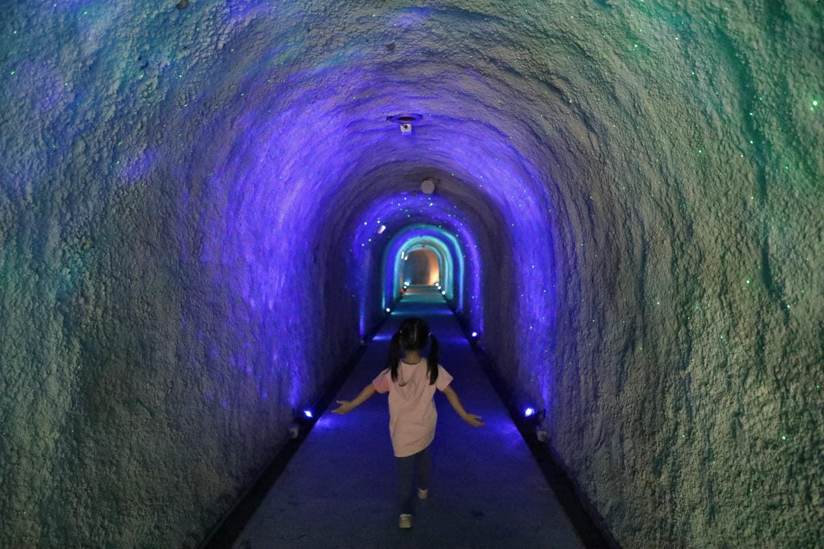 2025苗栗桐花季賞螢火蟲 西湖渡假村 兩天一夜親子旅行推薦!