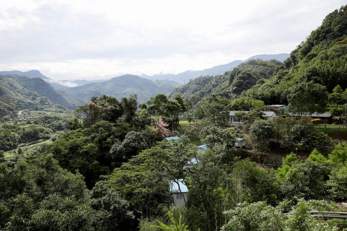 2025拉拉山新景點 桃園復興鄉秘境住宿-吾都景觀民宿 基拉耳山莊 原生菜培育吾都生態園區 - 第27張圖 2025拉拉山新景點 桃園復興鄉秘境住宿-吾都景觀民宿 基拉耳山莊 原生菜培育吾都生態園區