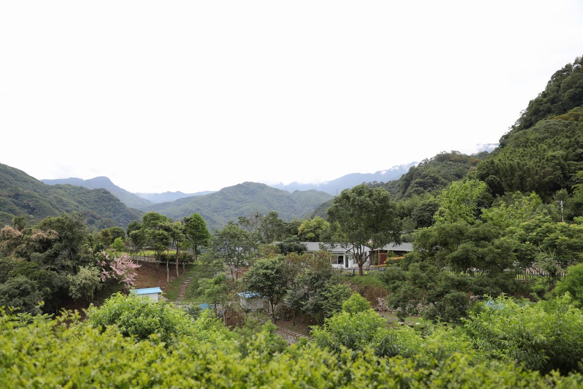 2025拉拉山新景點 桃園復興鄉秘境住宿-吾都景觀民宿 基拉耳山莊 原生菜培育吾都生態園區 - 第35張圖 2025拉拉山新景點 桃園復興鄉秘境住宿-吾都景觀民宿 基拉耳山莊 原生菜培育吾都生態園區