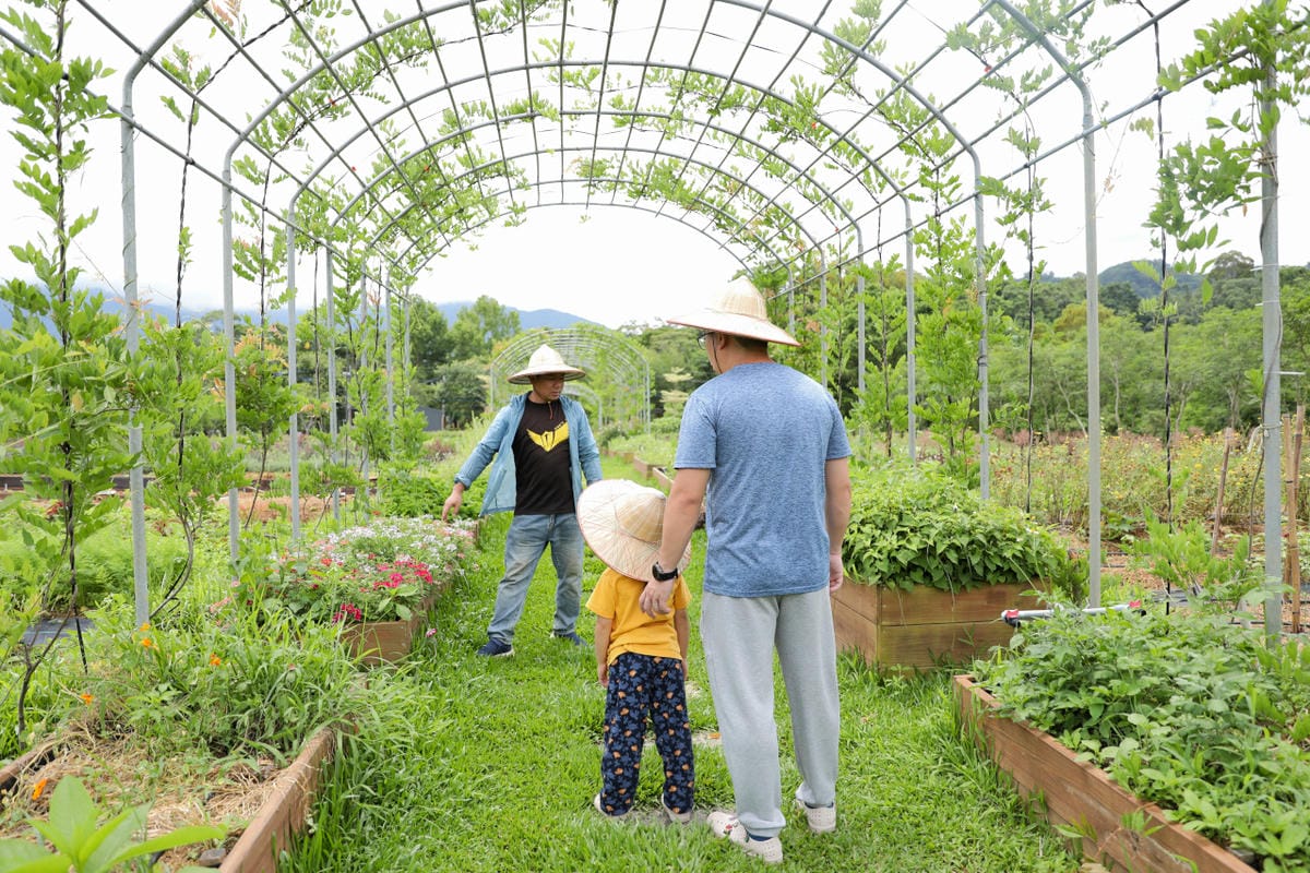 2025拉拉山新景點 桃園復興鄉秘境住宿-吾都景觀民宿 基拉耳山莊 原生菜培育吾都生態園區 - 第44張圖 2025拉拉山新景點 桃園復興鄉秘境住宿-吾都景觀民宿 基拉耳山莊 原生菜培育吾都生態園區