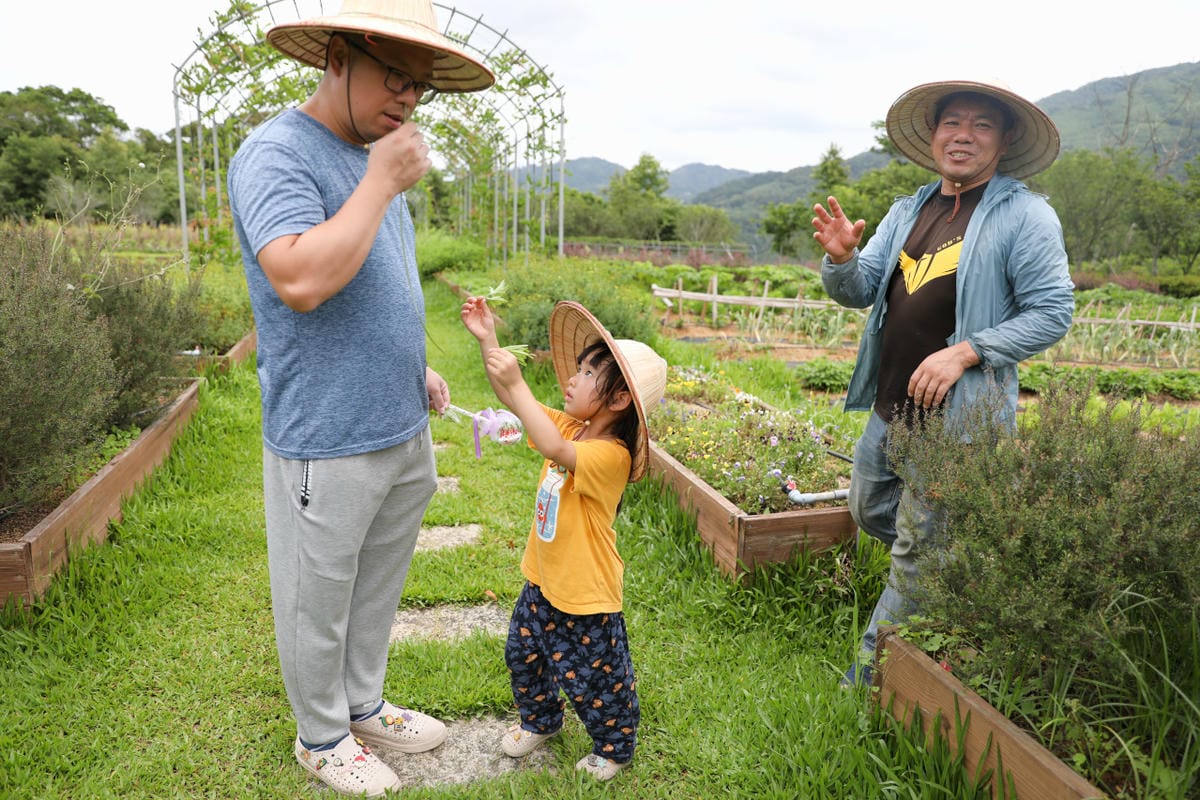 2025拉拉山新景點 桃園復興鄉秘境住宿-吾都景觀民宿 基拉耳山莊 原生菜培育吾都生態園區 - 第46張圖 2025拉拉山新景點 桃園復興鄉秘境住宿-吾都景觀民宿 基拉耳山莊 原生菜培育吾都生態園區