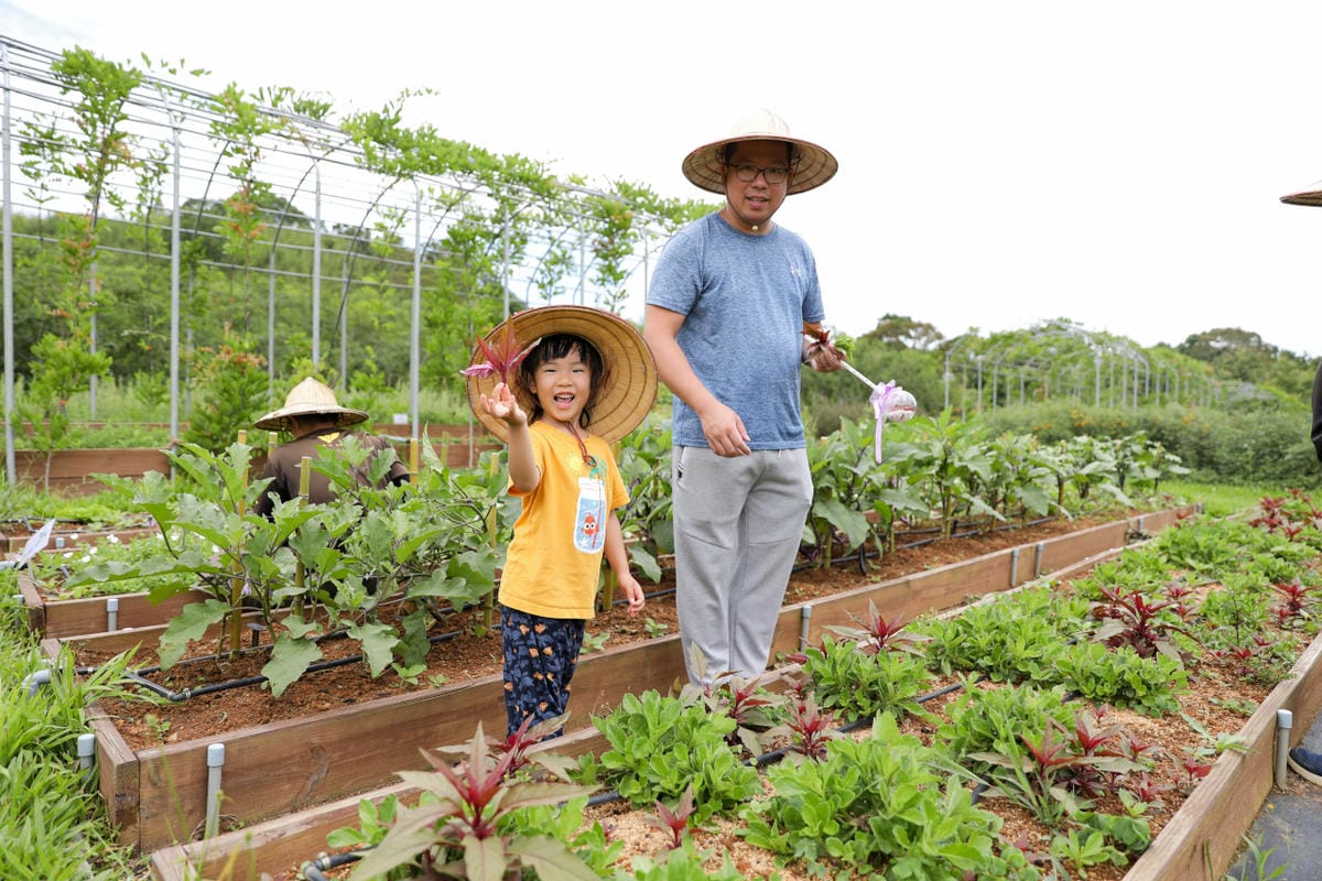 2025拉拉山新景點 桃園復興鄉秘境住宿-吾都景觀民宿 基拉耳山莊 原生菜培育吾都生態園區 - 第48張圖 2025拉拉山新景點 桃園復興鄉秘境住宿-吾都景觀民宿 基拉耳山莊 原生菜培育吾都生態園區