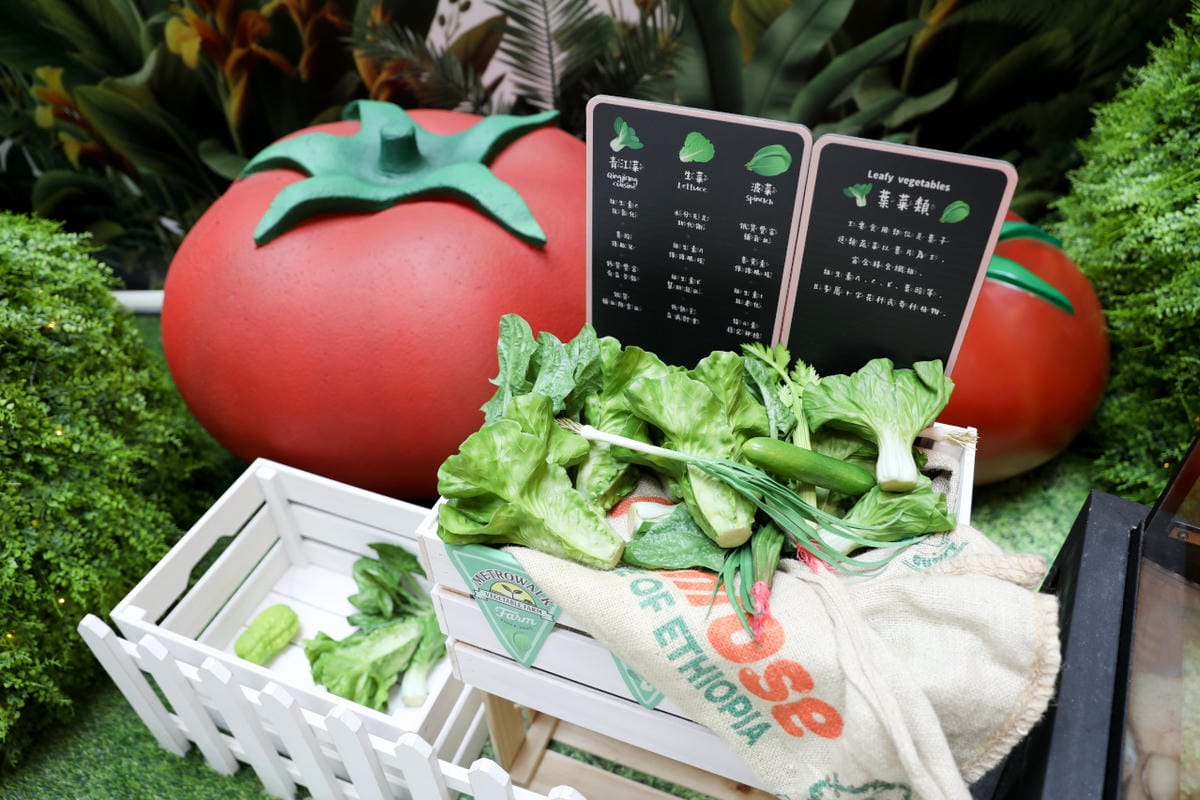 全年免費停車，大江才是真正的桃園之光！桃園親子免費遊玩景點推薦！社交最佳場所、悠遊遊逛街城