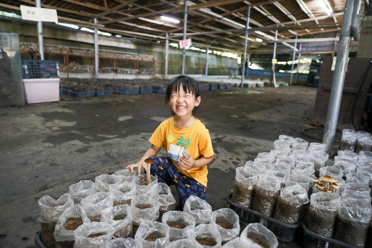 台中新社幸福農莊 包棟木屋.桶仔雞烤肉.親子DIY 兩天一夜活動體驗