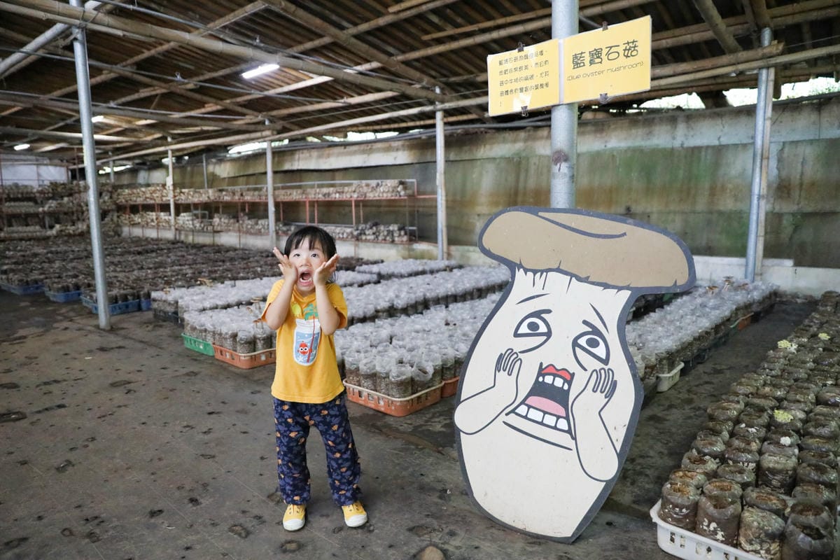 台中新社幸福農莊 包棟木屋.桶仔雞烤肉.親子DIY 兩天一夜活動體驗