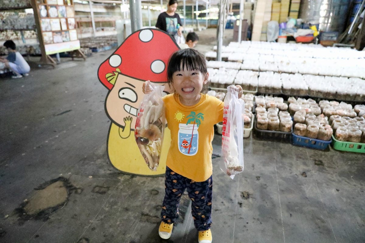 台中新社幸福農莊 包棟木屋.桶仔雞烤肉.親子DIY 兩天一夜活動體驗