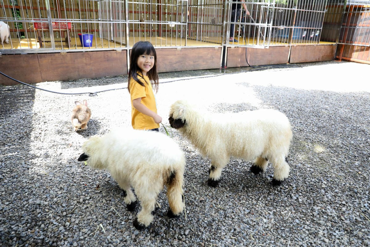 新月塢溫泉會館二訪 夏日夜湯 新竹內灣尖石湯屋泡溫泉推薦! 親子可愛動物區餵食互動體驗