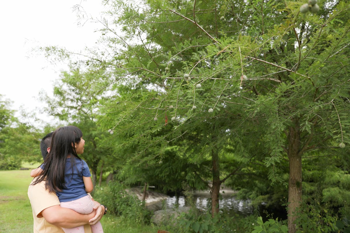 兩天一夜花蓮瑞穗小旅行 松邑莊園 悠閒渡假享受山泉水戲水池.黃金湯溫泉