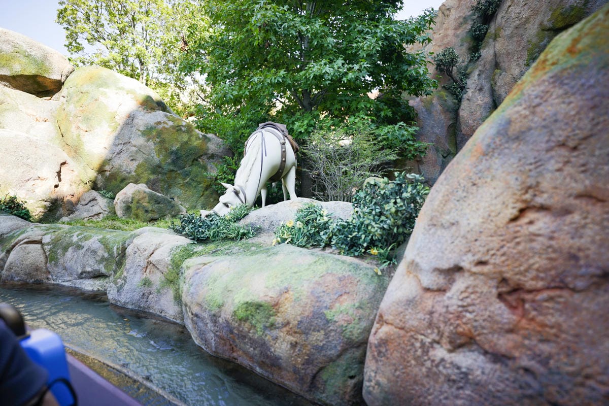 日本東京迪士尼海洋攻略分享 2025萬聖節親子生日之旅! 領取生日紀念貼紙,享受壽星禮遇 善用迪士尼APP抽PP.MO點餐.購買DPA輕鬆玩泉鄉園區