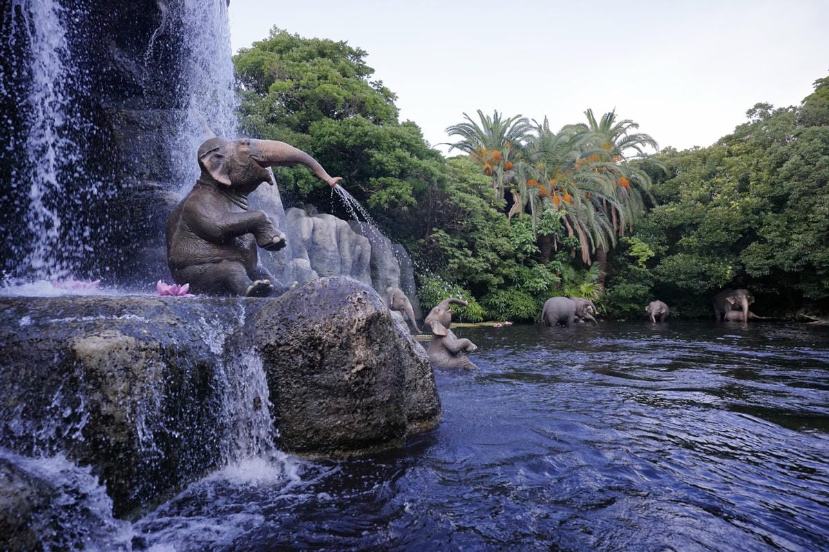 日本東京迪士尼樂園攻略分享 2025萬聖節親子生日之旅! 一日暢玩陸地18項遊樂設施,善用迪士尼APP抽PP.MO點餐.購買DPA,不花時間排隊餐廳看遊行秘密地點