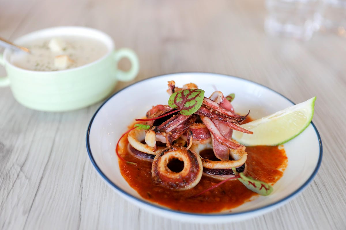 竹北義式餐廳推薦! Dambino丹比諾 手工義大利麵.披薩(竹北店) 多款義大利麵選擇.美味窯烤披薩